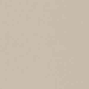 Линолеум FORBO Sarlon Uni 430811-420811 grey beige фото ##numphoto## | FLOORDEALER